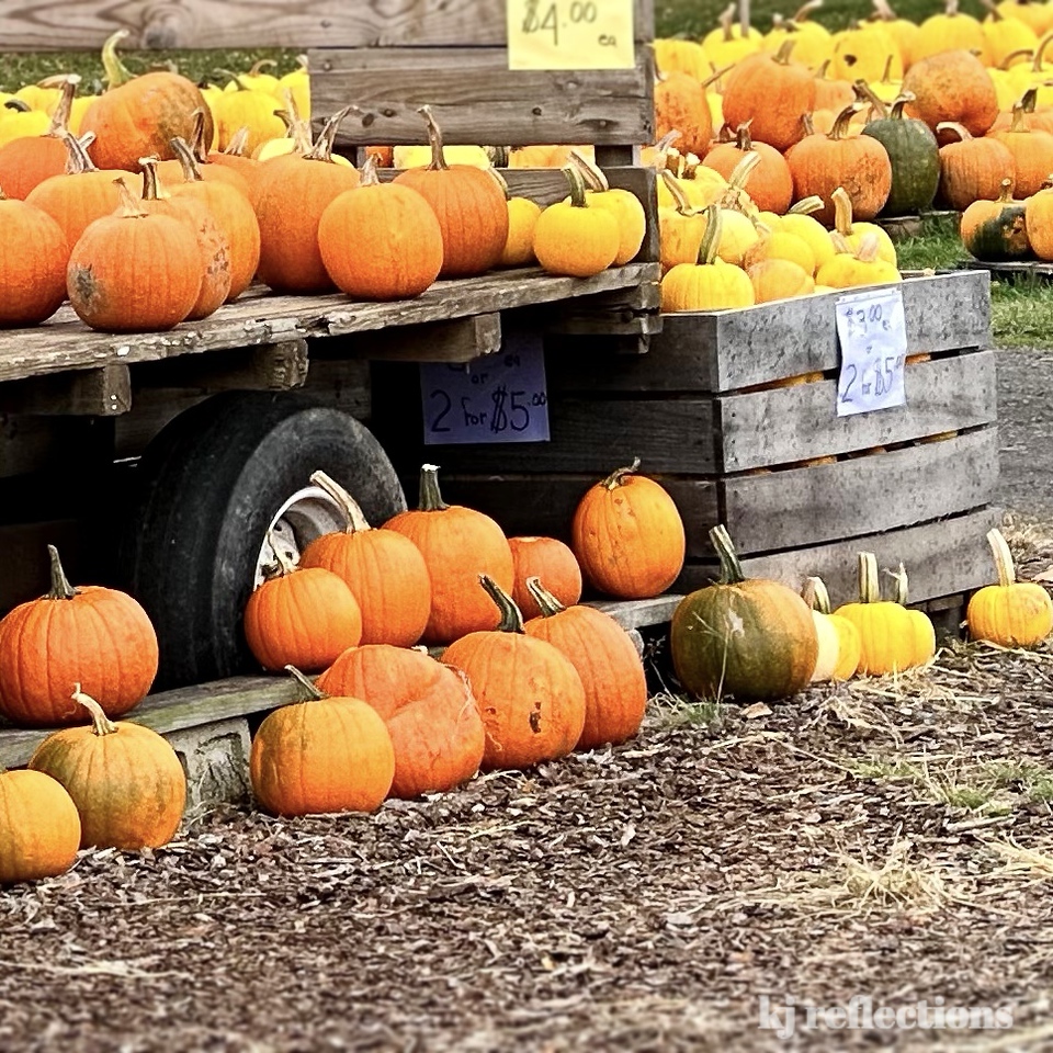 It’s Our Favorite Time of Year: Pumpkin Pleasantry